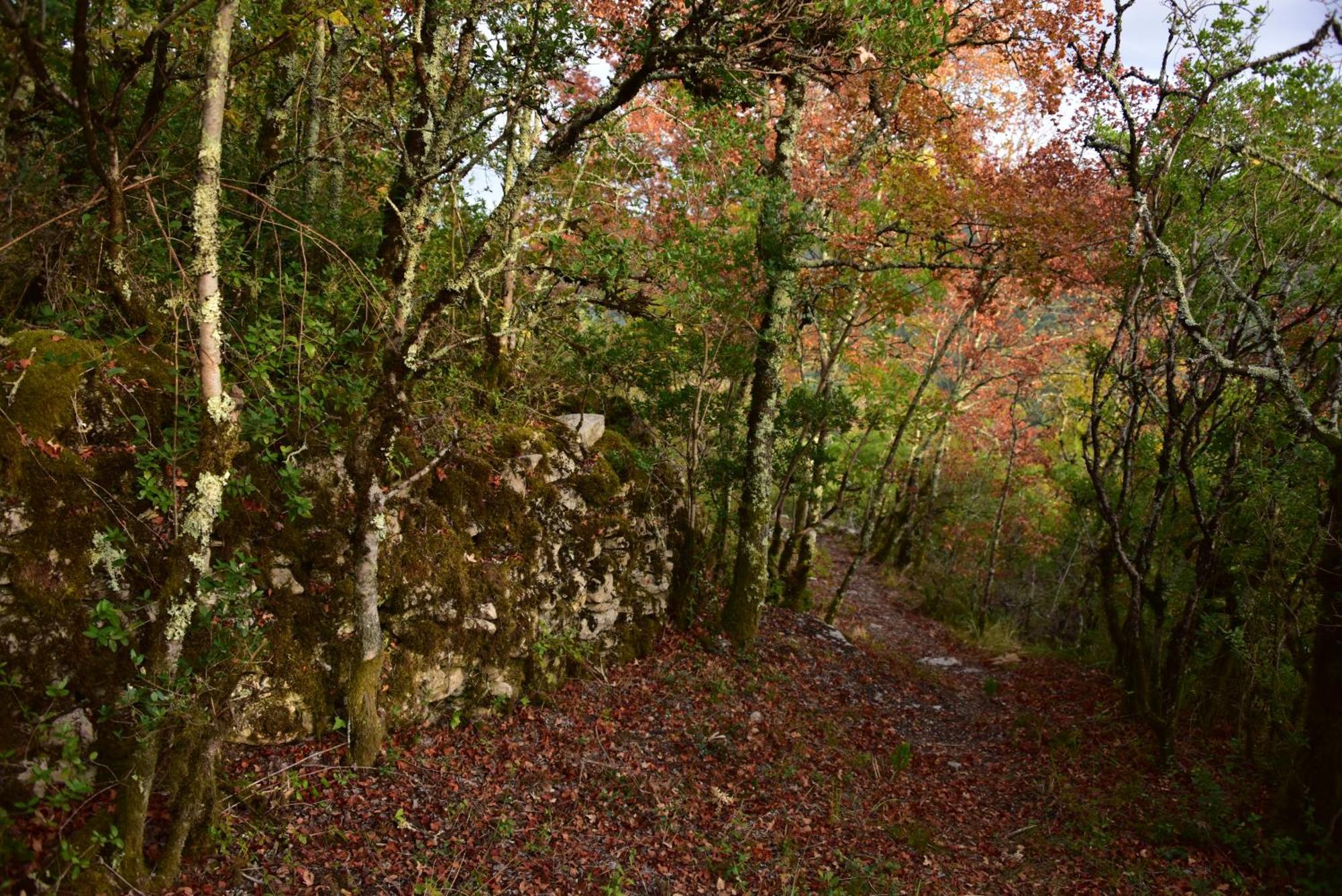 Rataboul Villa Puylaroque Dış mekan fotoğraf