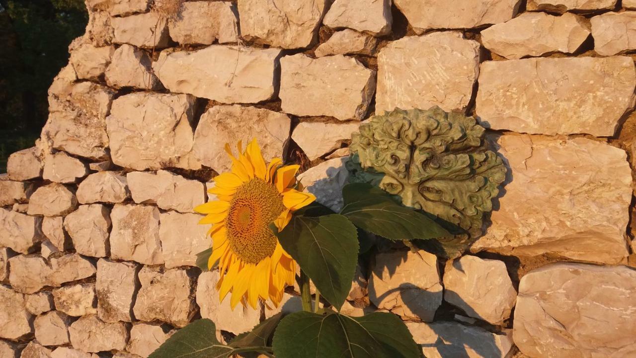 Rataboul Villa Puylaroque Dış mekan fotoğraf